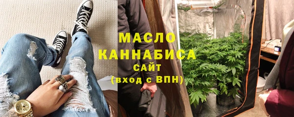 индика Семилуки