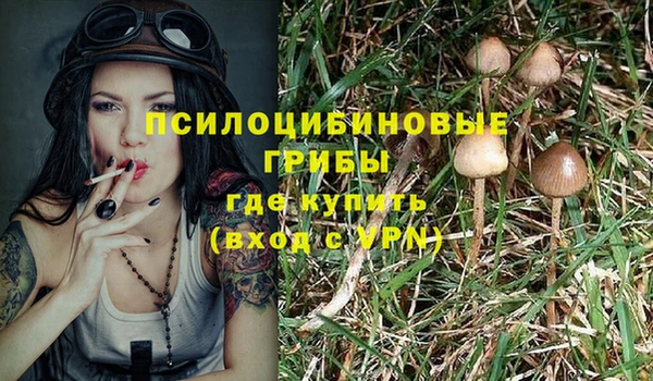 синтетический гашиш Бронницы